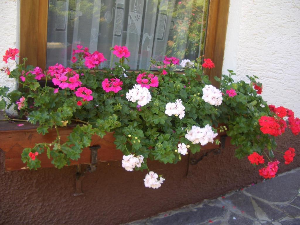 Haus Brigitte - Preise Inclusive Pitztal Sommer Card Jerzens Buitenkant foto
