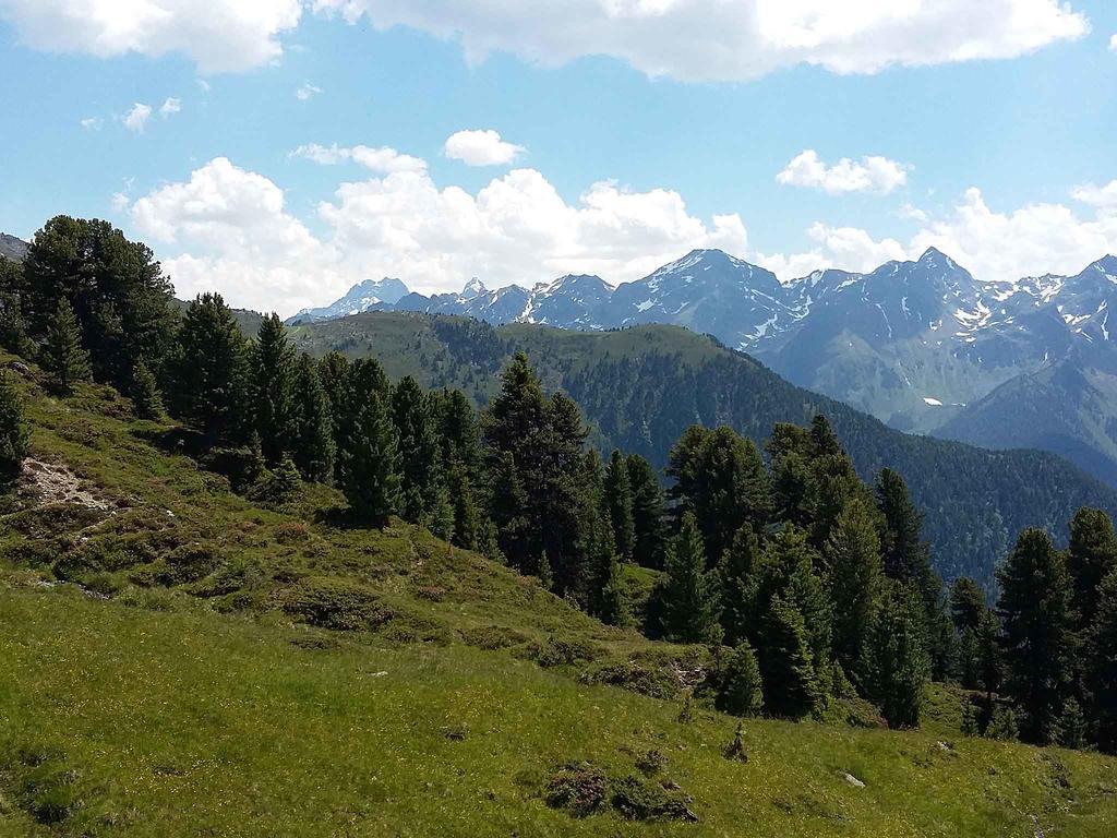 Haus Brigitte - Preise Inclusive Pitztal Sommer Card Jerzens Buitenkant foto
