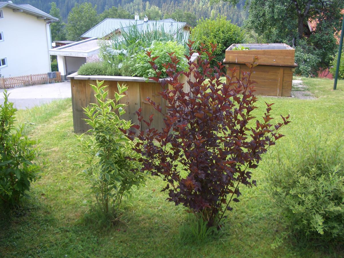 Haus Brigitte - Preise Inclusive Pitztal Sommer Card Jerzens Buitenkant foto